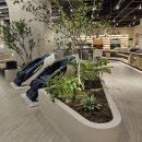 스파디움24 이미지