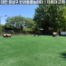 완주군 반려동물 놀이터 | 대전 유성구 반려동물놀이터 후기｜자운대 근처, 주차·이용방법·시설 총정리