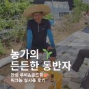 루비PC | 직거래 주문관리 고민 끝! 안성 루비 앤 골드팜의 워크농 사용 후기