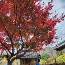 상성2리(마을회관) 야외운동기구 | 충남 아산 설화산 @수채화를 보는 듯!