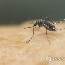 플래니터리헬스 이미지