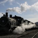 복열농장 | 초겨울 시간이 멈춘 곳, 곡성 기차마을로 떠나는 여행