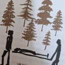 (주)파라메딕 이미지