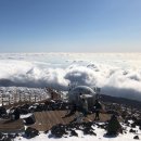 한경통신 | [작담이 통신 #103] 제주 여행기