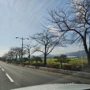 동승주유소 | 경주 여행 렌터카｜쏘카 경주역 '디 올 뉴 코나' 이용 후기