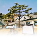 평화마을 이미지