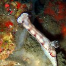 섬게스트하우스 이미지