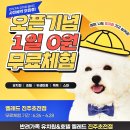 옐레드 애견유치원 & 애견호텔 진주초전점 이미지