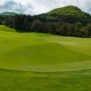 나인브릿지CC 이미지