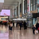 미니스톱편의점 | [도쿄 여행] 나리타 공항 1터미널 미니스톱 편의점 추천 메뉴 &amp; 디저트 후기