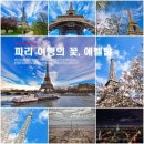 에버리움 이미지