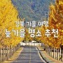 11월 경북 여행, 놓치지 말아야 할 늦가을 명소 Best 4 총정리