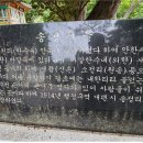 송정여성경로당 | 구례군 토지면 송정마을 소개