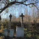 신현동-8 이미지