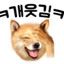 맘앤도그 이미지