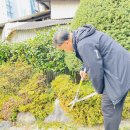 귀일정신요양원 이미지