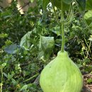 복탄횟집 이미지