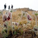 한재공원 이미지