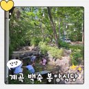 폭포 | 서울 근교 물놀이 가능한 계곡식당, 안양 봉암식당 20개월 아기랑 백숙 후기