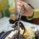 자연능이버섯백숙
