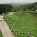 대관령아름다운펜션 이미지