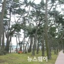 금일해당화해변 이미지