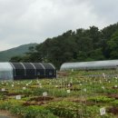 다둥이농장 이미지