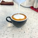 시랑이랑 이미지