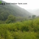 미리내농장 이미지