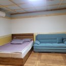 별빛애견펜션 티스토리