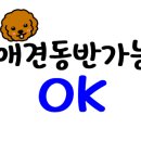 앤애견샵 이미지