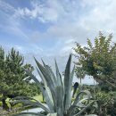 해비치수영장 이미지