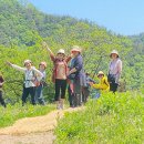 삼정삼거리 이미지