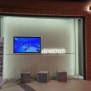 핏클러스터 | 제가 찐으로 추천드리는 일직동헬스장 핏클러스터 헬스&amp;그룹PT&amp;월요가