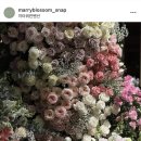 구로-구로-구로-1073 | 어두운홀 아이폰스냅 메리블로썸 가격 할인 후기 지타워컨벤션 추천