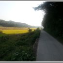 청성군 사우 이미지