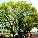 영평상동 마을회관 이미지