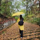 송정제방길 이미지