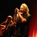 kiss My Dog 이미지