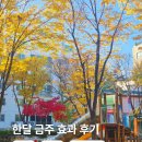 금주 | 요즘 일상 금주 한달 후기 변화 장단점 +새해 결심