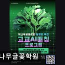 책나무글꽃학원