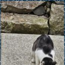 뮤즈 펜션 이미지