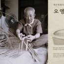 구덕장 뉴스제주