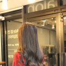 더블유헤어살롱 - 제주시 노형동 | 더블유헤어살롱