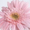 주연테크컴퓨터 이미지