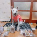 멍츄츄 레스토랑 네이버블로그