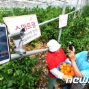 에덴그린축산 이미지