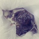 소룡농장 이미지