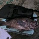 언더더씨 이미지