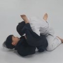 안양주짓수파크 이미지
